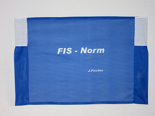 FIS-Norm_500pix